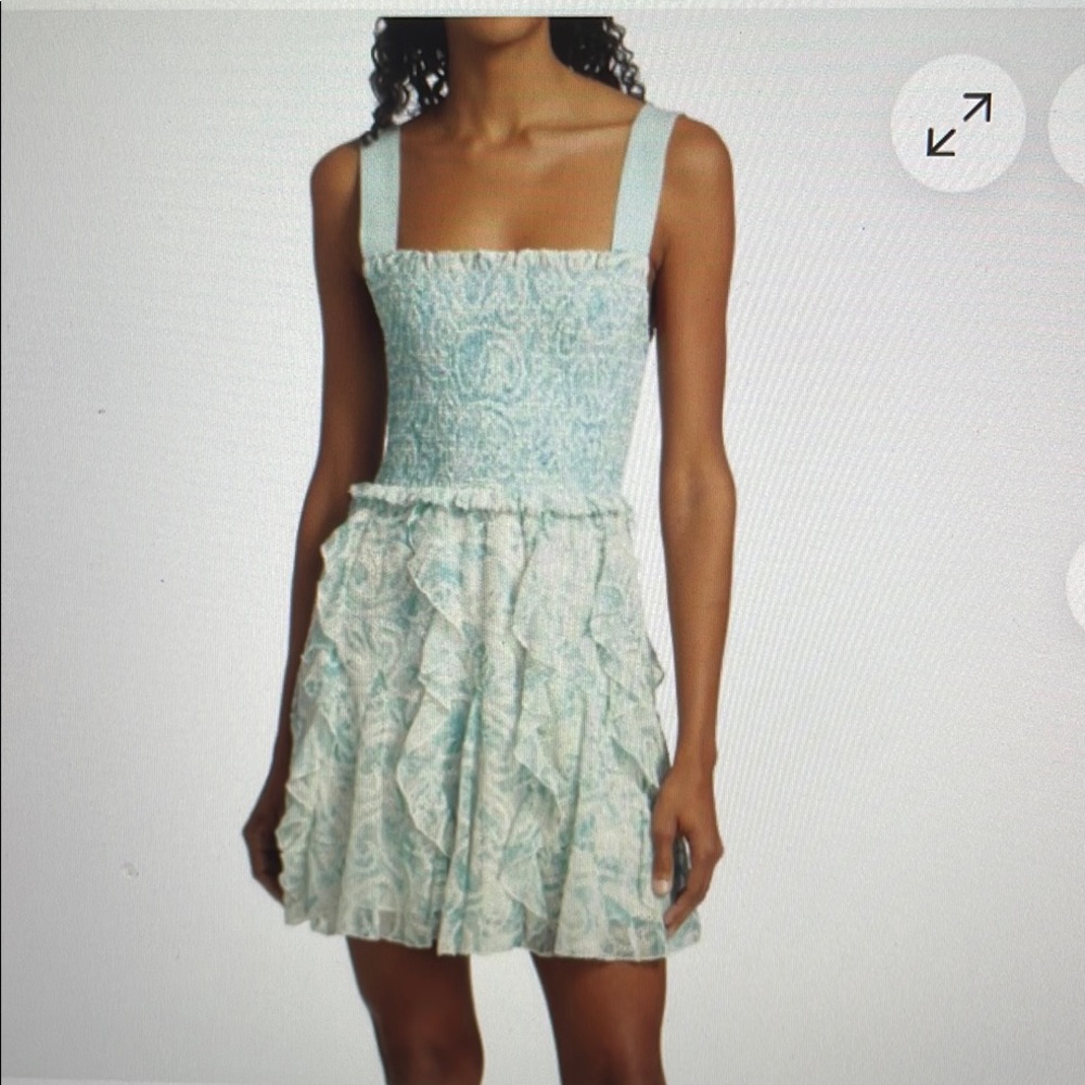 Alice and Olivia Jocelyn floral smocked cotton Minidress